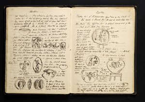 Page du journal de voyage, lors d